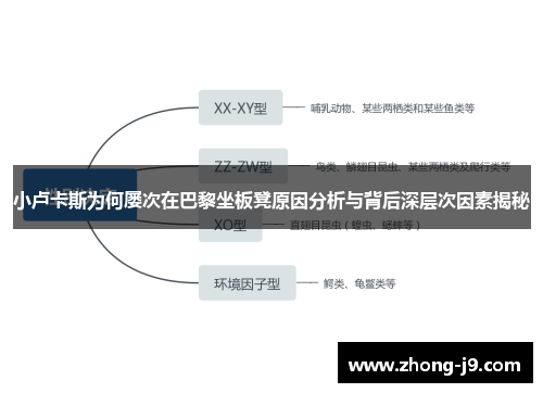 小卢卡斯为何屡次在巴黎坐板凳原因分析与背后深层次因素揭秘 小卢卡斯为何屡次在巴黎坐板凳原因分析与背后深层次因素揭秘