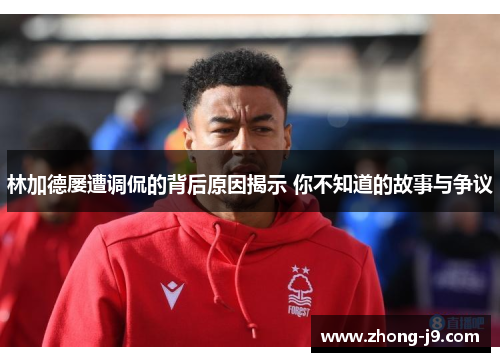 林加德屡遭调侃的背后原因揭示 你不知道的故事与争议